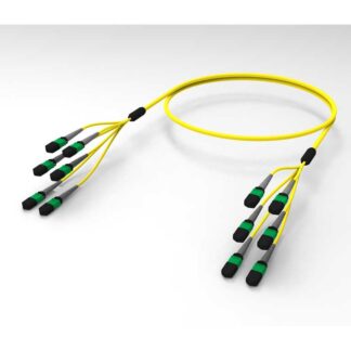 TRNK,ULL,B2,8G1,MPO8,M-M,48F